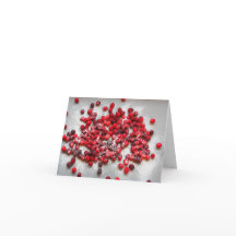 Moosbeeren und Zucker