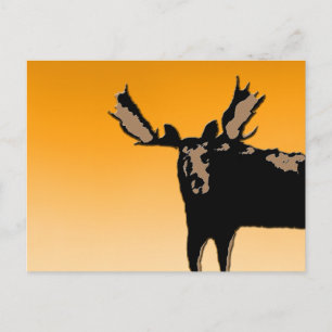 Moose at Sunset - Original Wildlife Art Postkarte