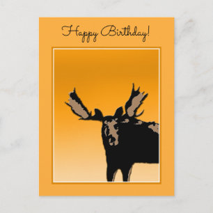 Moose at Sunset - Original Wildlife Art Postkarte