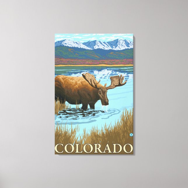 Moose DrinkingColorado Leinwanddruck (Vorderseite)