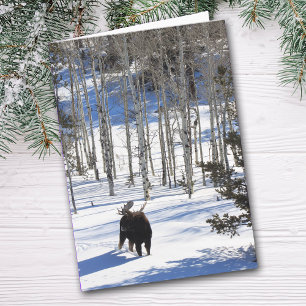 Moose en hiver Toutes les occasions Carte de voeux