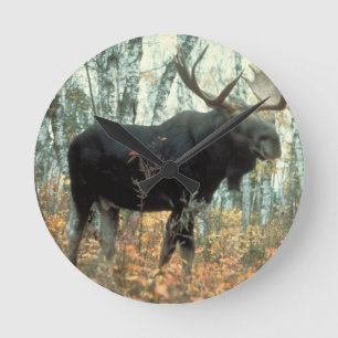Moose Forest Trees Park Parco Civico-Ciani Runde Wanduhr
