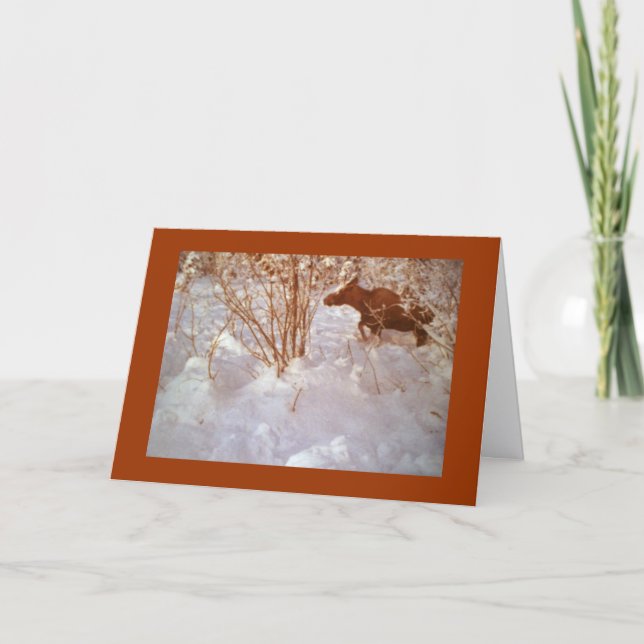 Moose in Alaska Blank Greeting Card Karte (Vorderseite)