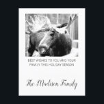 Moose In Winter Snow Christmas Greeting Feiertagspostkarte<br><div class="desc">Moose in snow fotograph Christmas holiday greeting with your family name added in a trendy script typography. Personalize with your family name</div>