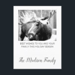 Moose In Winter Snow Christmas Greeting Feiertagspostkarte<br><div class="desc">Moose in snow fotograph Christmas holiday greeting with your family name added in a trendy script typography. Personalize with your family name</div>