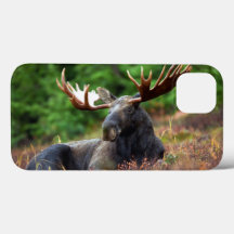 Moose iPhone 13 Coque