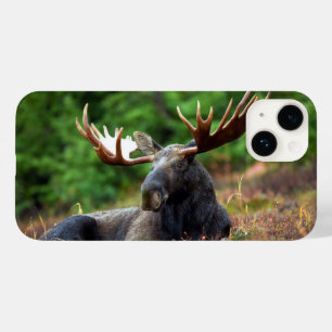Moose iPhone 14 Hülle