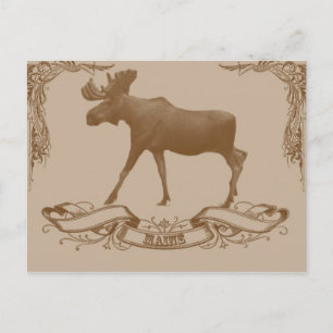 Moose Maine Postkarte