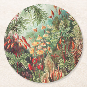 Moose, Muscinae Laubmoose von Ernst Haeckel Runder Pappuntersetzer