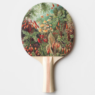 Moose, Muscinae Laubmoose von Ernst Haeckel Tischtennis Schläger