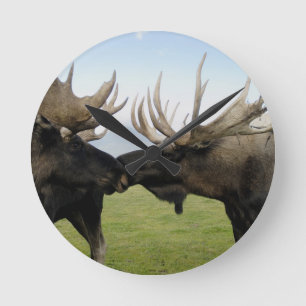 Moose Runde Wanduhr