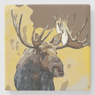 MOOSE STEINUNTERSETZER