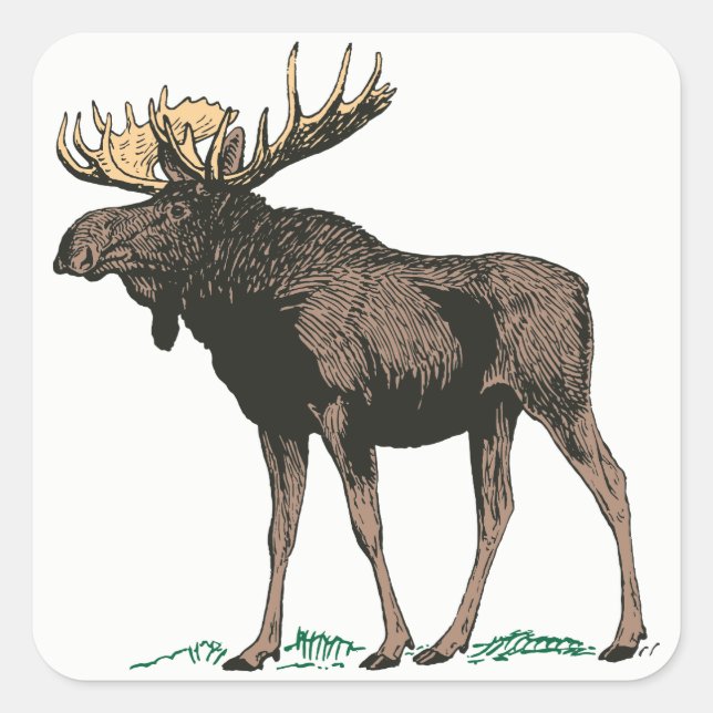 Moose Stickers (Vorderseite)