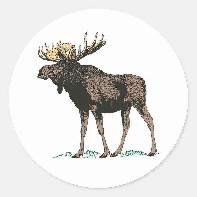 Moose Stickers (Vorderseite)