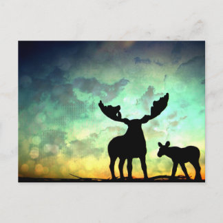 Moose Sunrise Postkarte