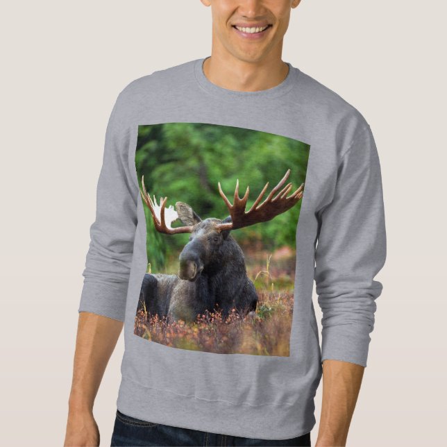 Moose Sweatshirt (Vorderseite)