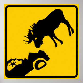 Moose Warning Sign aus Gros Morne Nationalpark Poster