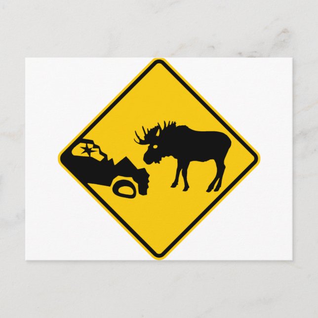 Moose Warning Sign aus Gros Morne Nationalpark Postkarte (Vorderseite)