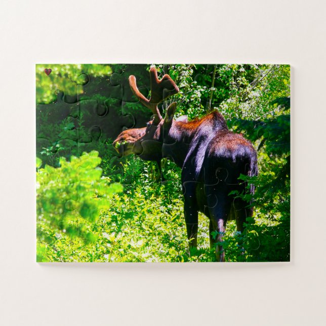 Moose Wyoming (Horizontal)