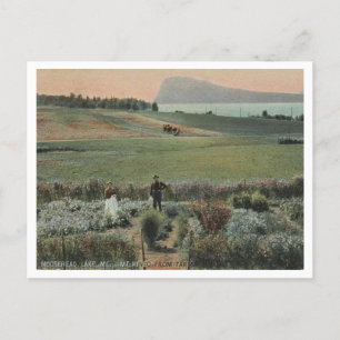 Moosehead Lake ME, Mt Kineo, Farm 1910 Postkarte