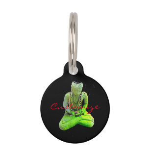 Moosiger grüner Buddha meditierendes Thunder_Cove Haustiermarke