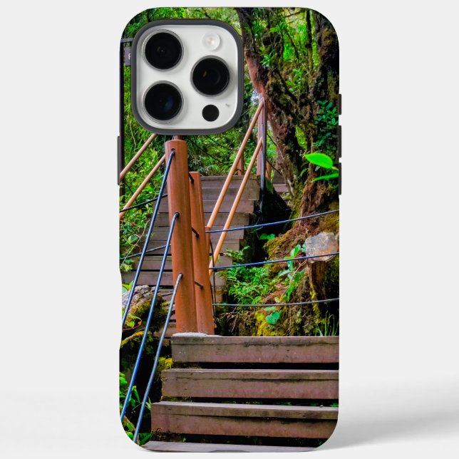 Moosiger Wald iPhone 16 Pro Max Hülle (Rückseite)