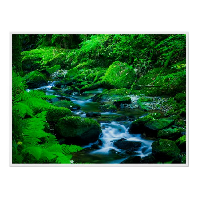 Moosiger Waldstrom im Killarney-Nationalpark Poster (Vorderseite)