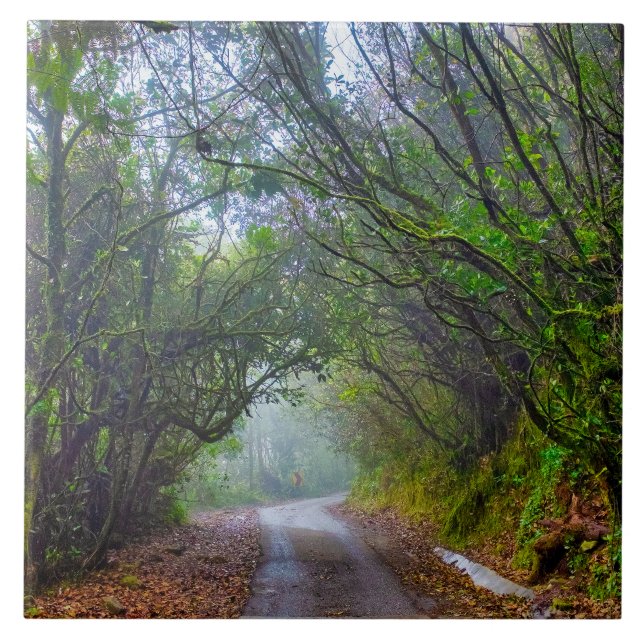 Mooswald Fliese (Vorderseite)