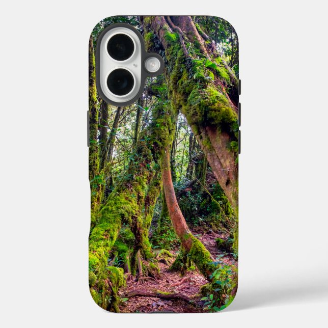 Mooswald iPhone 16 Hülle (Rückseite)