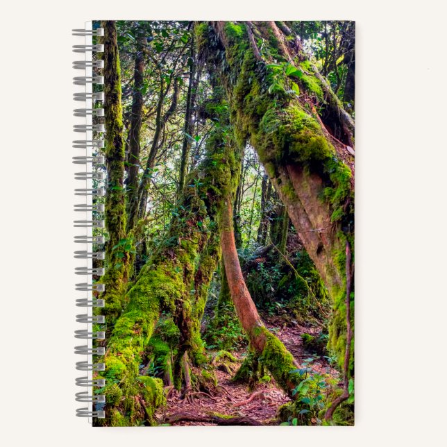 Mooswald Notizbuch (Vorderseite)