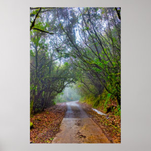 Mooswald Poster