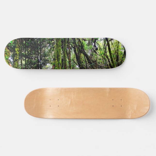 Mooswald Skateboard (Horizontal)