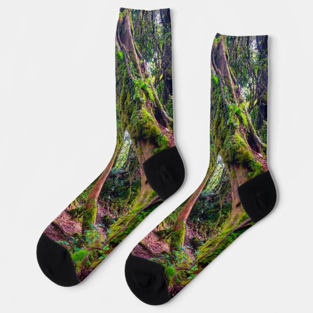 Mooswald Socken (Linkes Detail)