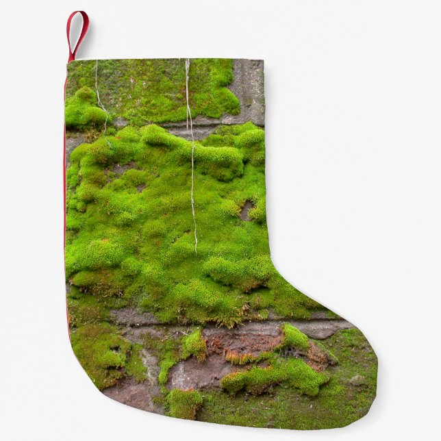 Mooswand, grüne Gesteinsstruktur Kleiner Weihnachtsstrumpf (Vorderseite)