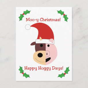 Mooy Christmas und Happy Hoggy Days! Feiertagspostkarte