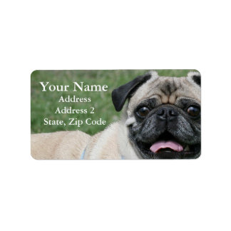 Mops-Adressmarken Adressaufkleber