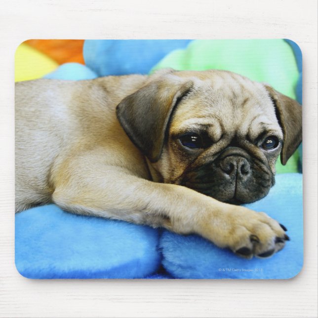 Mops auf Kissen Mousepad (Vorne)