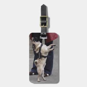 Mops aus der Kontrolle Gepäckanhänger