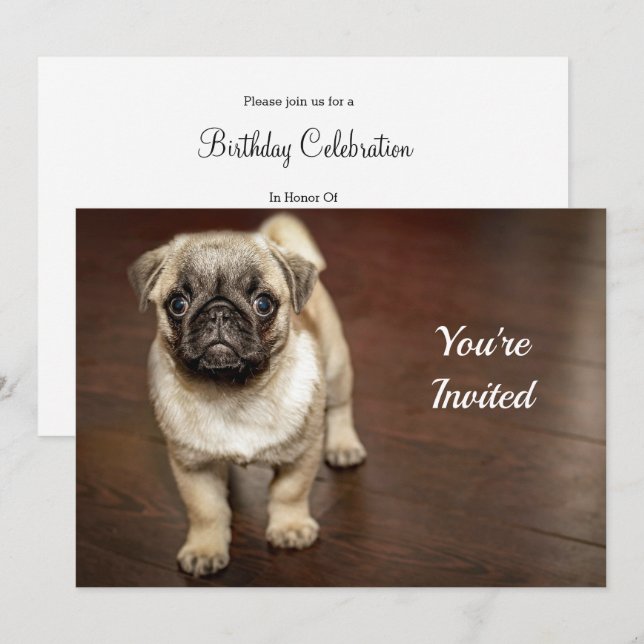 Mops Brown Dog Foto Geburtstag Einladung (Vorne/Hinten)