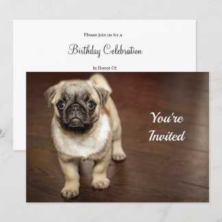 Mops Brown Dog Foto Geburtstag Einladung