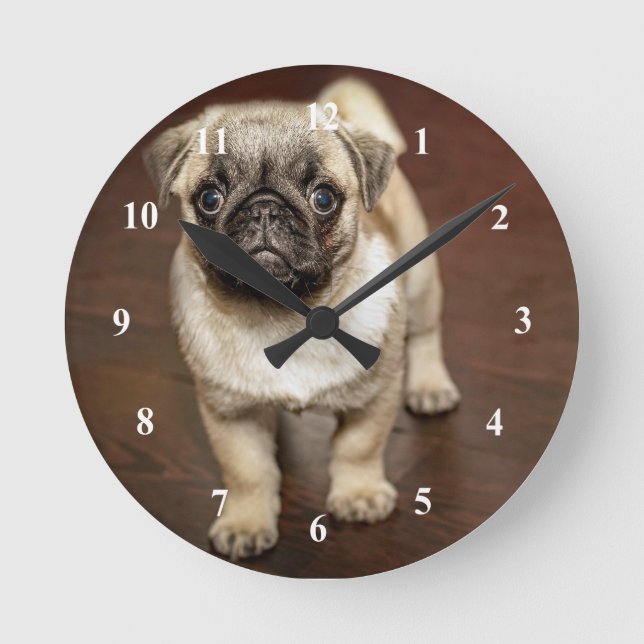 Mops Brown Dog Foto Runde Wanduhr (Vorderseite)