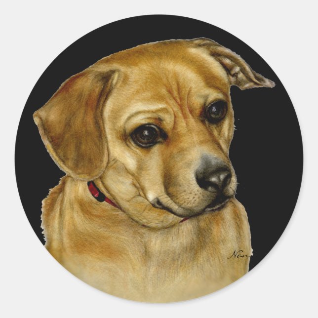 Mops Dachsy Sticker (Vorderseite)