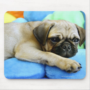 Mops, der auf Kissen legt Mousepad