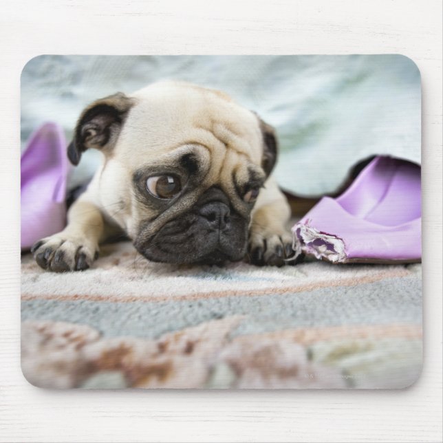 Mops, der unschuldig aussieht, nachdem er den Zehn Mousepad (Vorne)