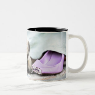 Mops, der unschuldig schaut, nachdem weg die Zehe Zweifarbige Tasse