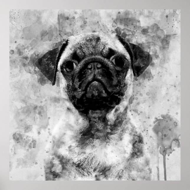 Mops Dog Black and White Watercolor 01 Poster (Vorne)