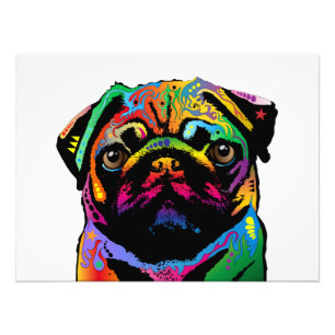 Mops Dog Fotodruck