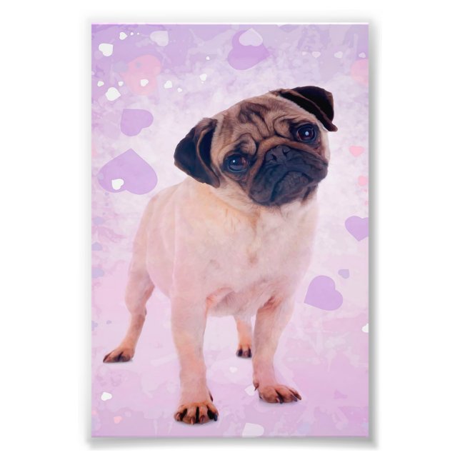 Mops Dog Fotodruck (Vorne)