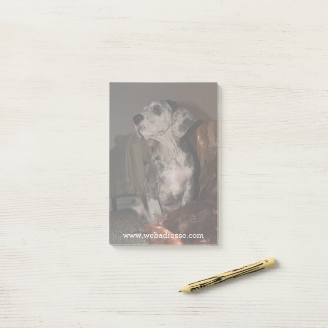 Mops-Dogge Post-it Klebezettel (Auf Schreibtisch)