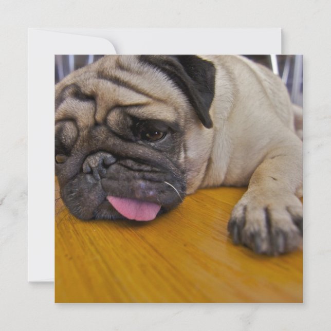 Mops eine zu viele Einladung (Vorderseite)